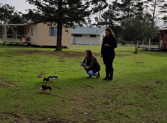 Kalgan River Chalets & Caravan Park - Kalgan, WA. Feeding the ducks