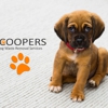 SCOOPERS Dog Waste Removal Services gallery