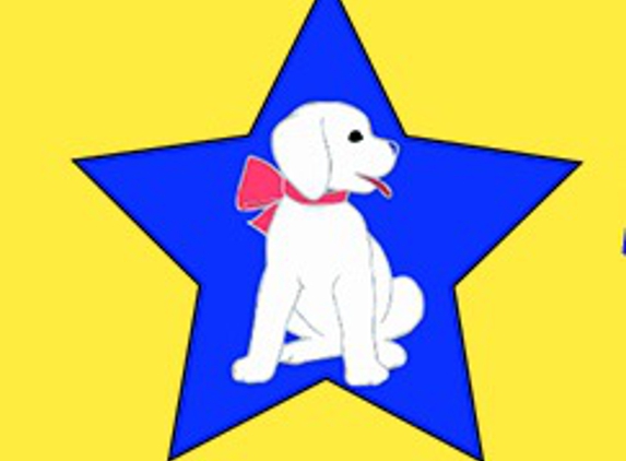 All Star CoCo Dog Training LLC