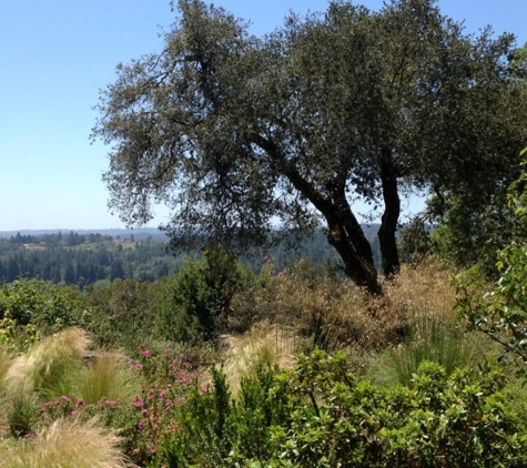 Gary Farrell Vineyards & Winery - Healdsburg, CA