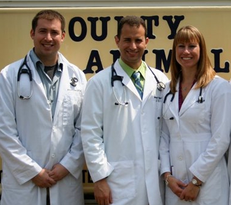 County Animal Hospital - Ballwin, MO