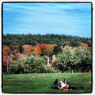 Nashoba Valley Winery - Bolton, MA