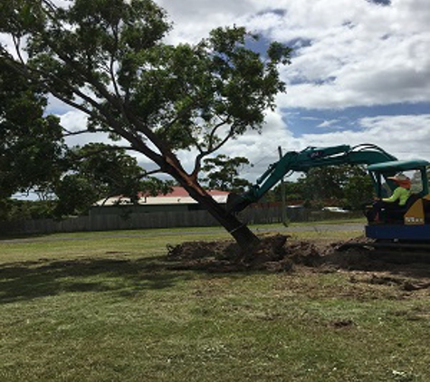 Active Tree Fellas - Urangan, QLD