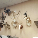 Weird City Taxidermy - Taxidermists