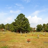 Southern Cremations & Funerals at Cheatham Hill Memorial Park gallery