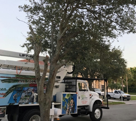 Go Green Affordable Tree Services - Homestead, FL