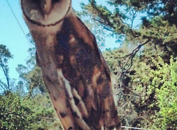 Bird Rescue Center - Santa Rosa, CA