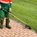 Lions Tree & Landscaping - Tree Service