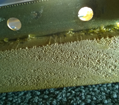 Termitedoc Pest Control - Cardiff, NSW. Bed Bugs On Bed Timber Rails