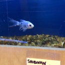 Allan's Aquarium & Pet Center - Pet Stores