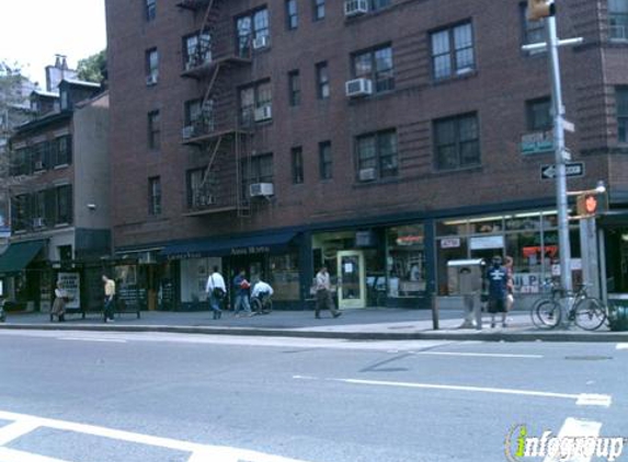 Greenwich Village Animal Clinic - New York, NY