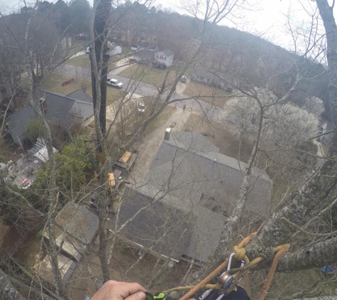 Tree Care - Gastonia, NC. Way Up High Go Pro