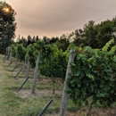 Villa Catalana Cellars - Wineries