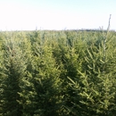 Bengtson Christmas Tree Farm - Garden Centers