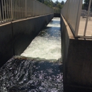 Feather River Fish Hatchery - Fish Hatcheries