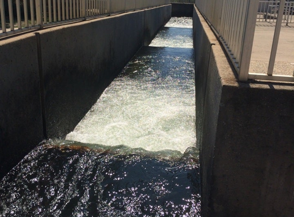 Feather River Fish Hatchery - Oroville, CA