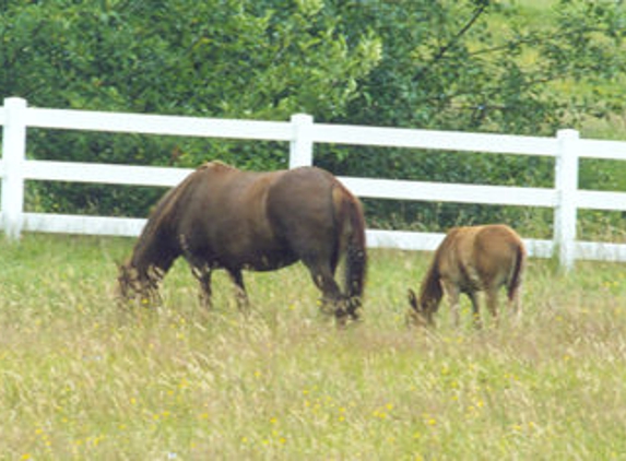 HdN Stables - Mount Vernon, WA