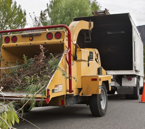 Green America Tree & Landscaping LLC - Henderson, NV