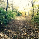 Gibbs Lake Park - Parks