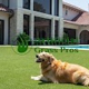 Artificial Grass Pros