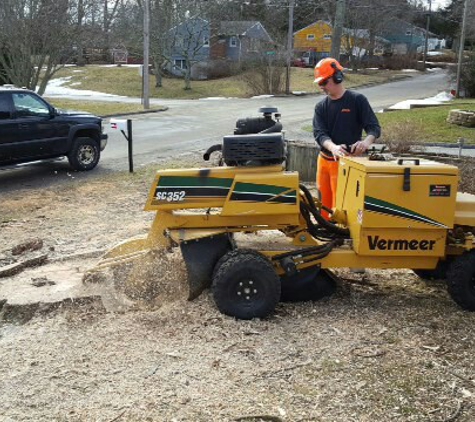 C & E Stump Removal Svc - Bozrah, CT