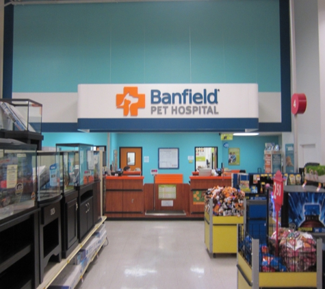 Banfield Pet Hospital - Glendale, AZ