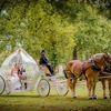 FRITZ FARM CARRIAGE SERVICE gallery