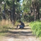 Collier Seminole State Park