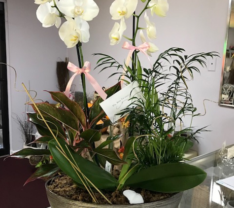 Paradise Flowers Inc. - Tampa, FL. Orchid Dish Garden