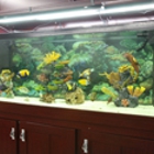 Global Aquatics & Pet Supplies