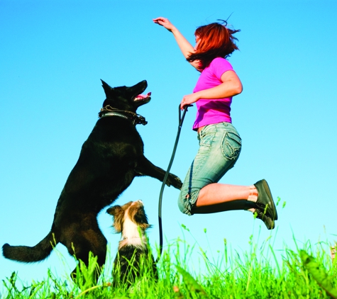 Fetch! Pet Care - Nashville, TN