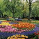 Kihei Gardens & Landscaping Company - Nursery-Wholesale & Growers