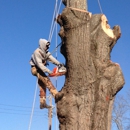 Tyler Best Tree Service - Tree Service