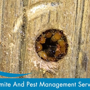 Evicta Pest Management. Termite and Pest Management Service