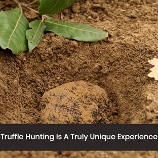 L'Air du Wombat Pty Ltd - Oallen, NSW. Truffle Hunting Is A Truly Unique Experience