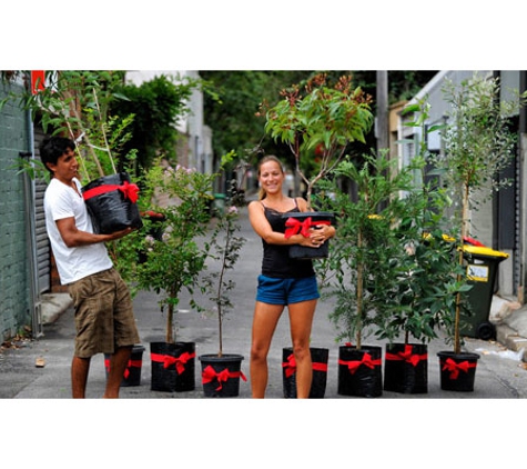 City of Sydney - Redfern Children's Program