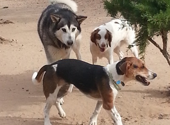 Dusty Dog Ranch Critter Care - Santa Fe, NM