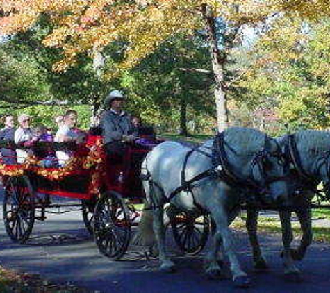 Horse & Carriage Livery of Loon Meadow Farm - Greenfield Center, NY