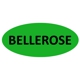 Bellerose Roofing & Siding