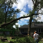 All Clear Tree Service