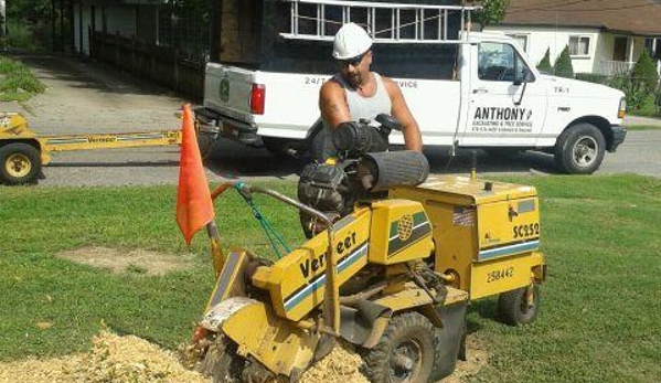 Anthony Excavation & Tree Service LLC - Nashville, TN