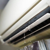 Gallery Image Number 3