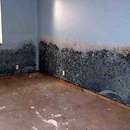 Eco Pro Restoration - Fire & Water Damage Restoration