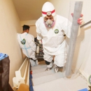 Green Rodent Restoration - Pest Control Services