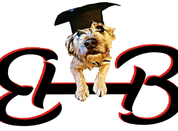 Best in Breed Dog Training - Stratford, CT