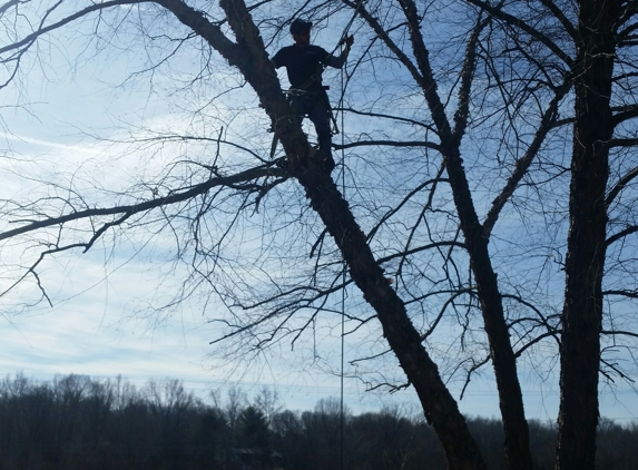 JD Tree Care - Big Rock, TN