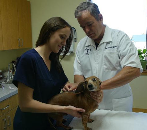 Cornerstone Animal Hospital - Joplin, MO