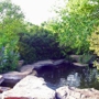 Martinez Pools and Landscaping Services