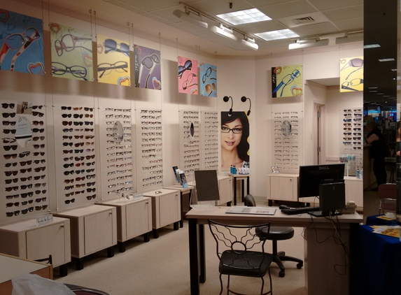 Boscovs Optical--Dr. Matthew Burr - Camp Hill, PA