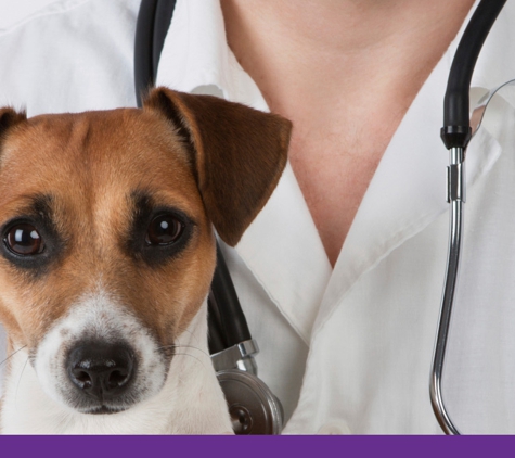 Eastwood Veterinary Clinic - Ballarat East, VIC. Eastwood Vets